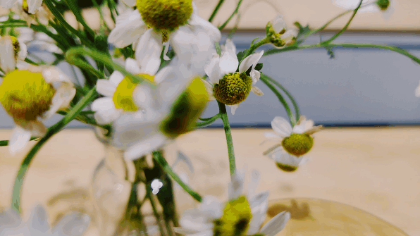 茶布奇诺基本没有了属于咖啡的涩和酸,乍一喝,与一杯咖啡奶茶没有太大