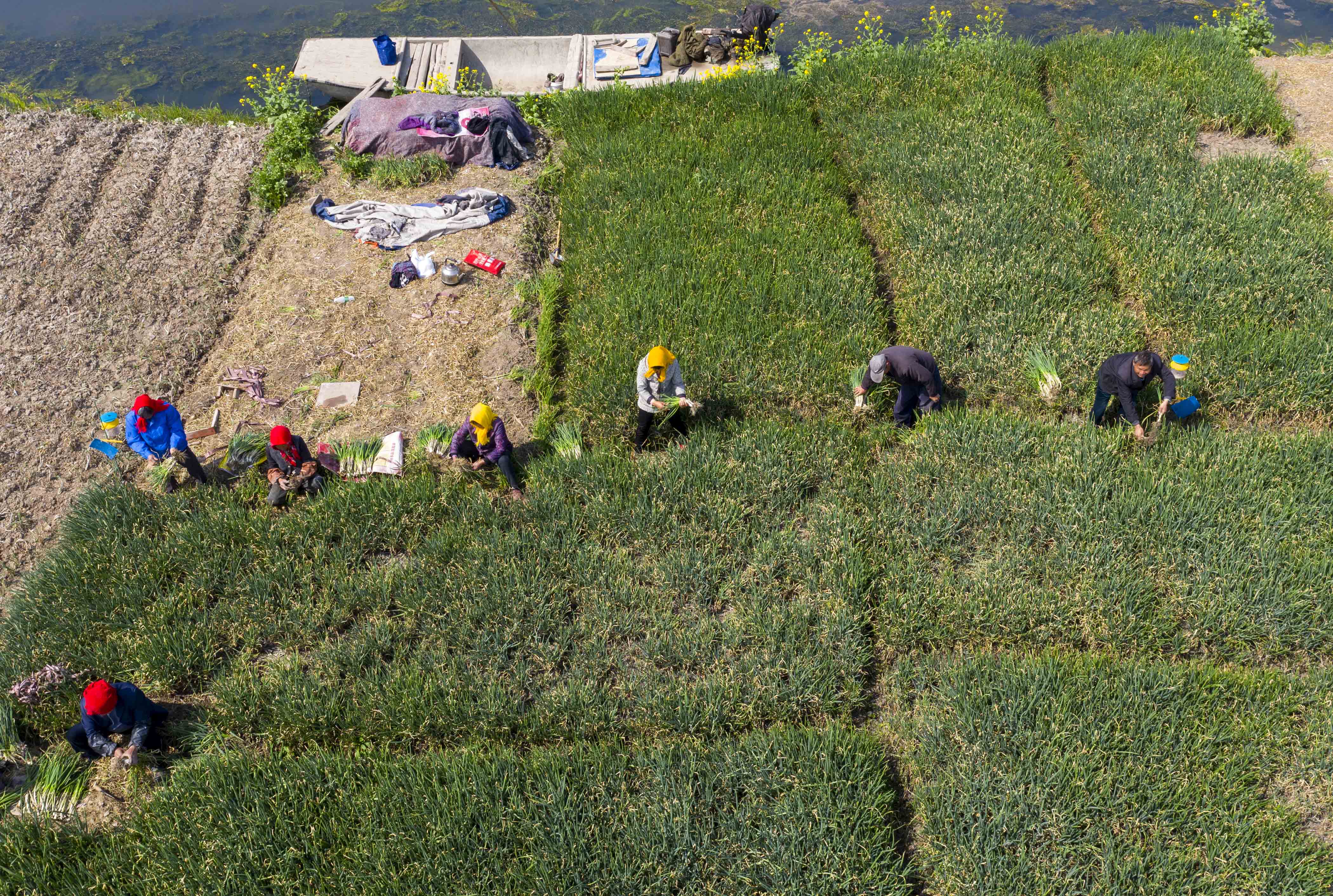 春季的农事活动 www.yangtse.com