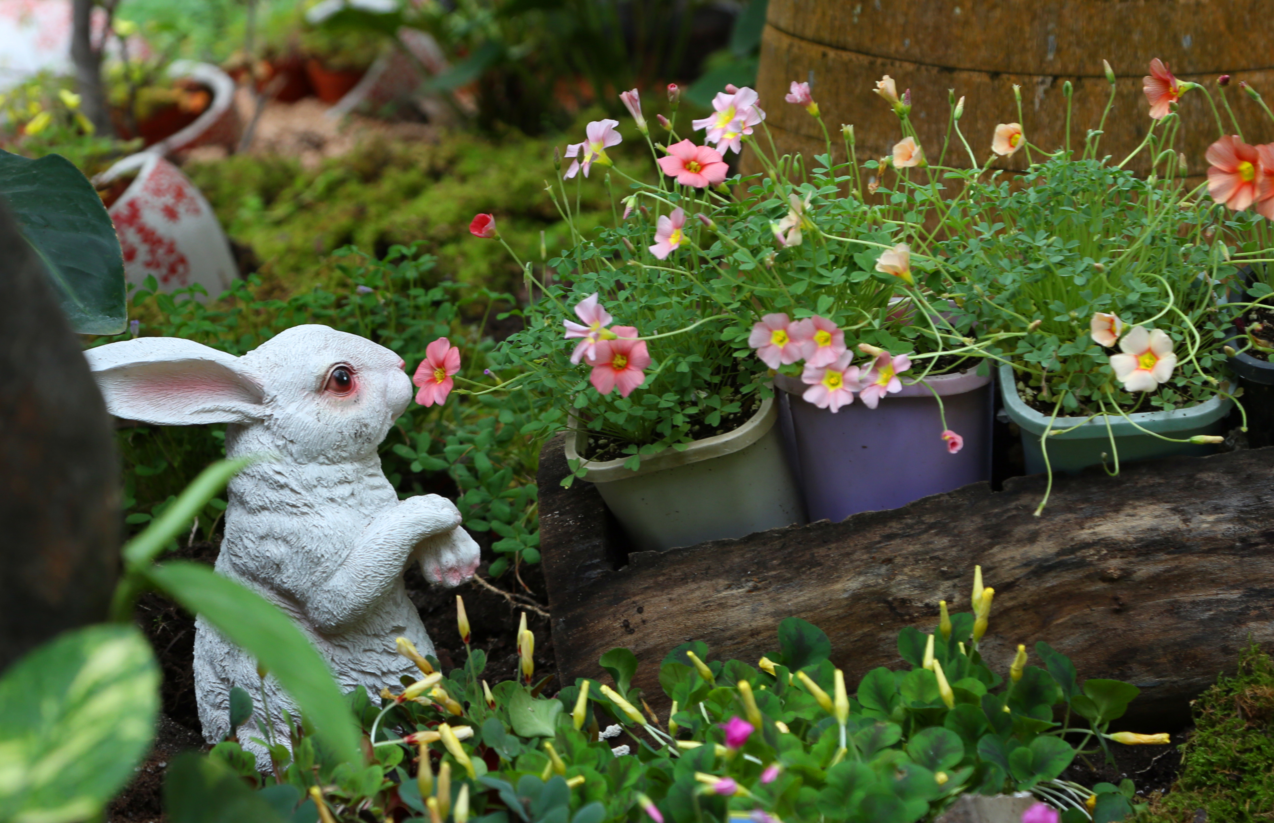 原创|一月的上海有什么好玩的?一分钟让你全知