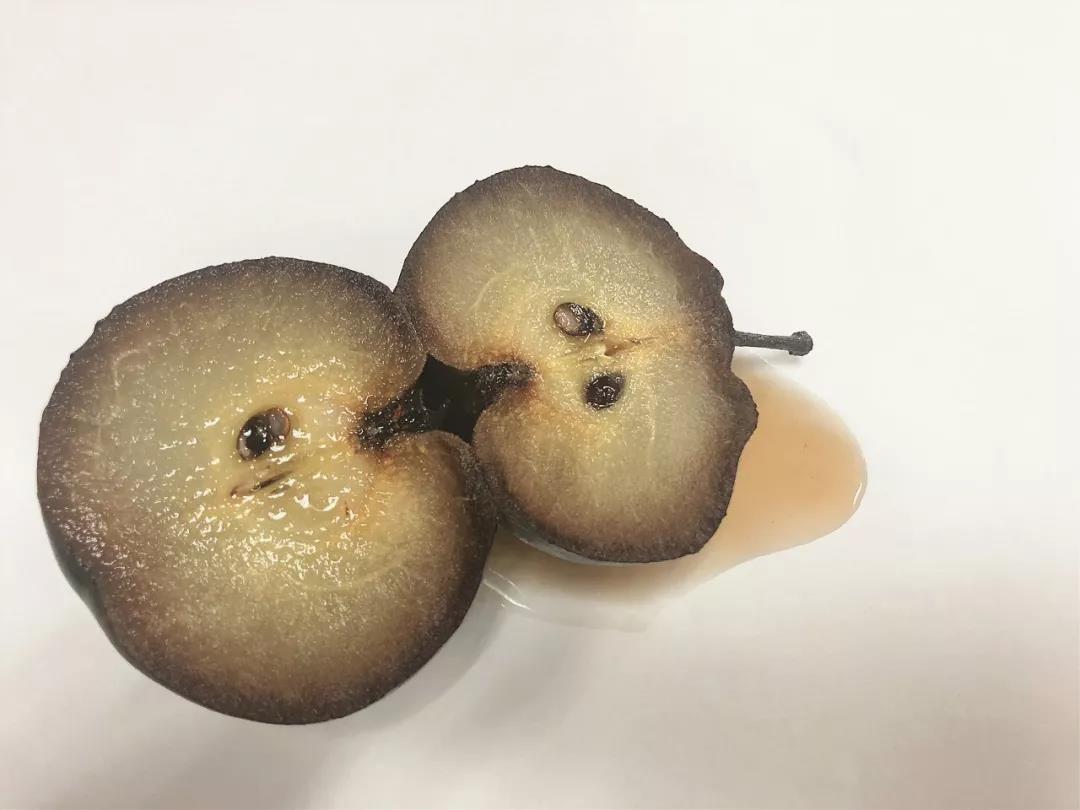 可以“把寒气吸到体外”的东北冻梨初体验