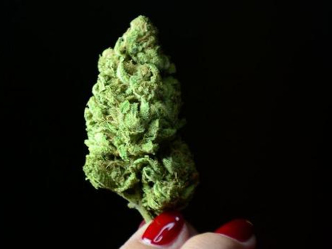 春节流量不够用怎么办?来教你两招--扬子晚报