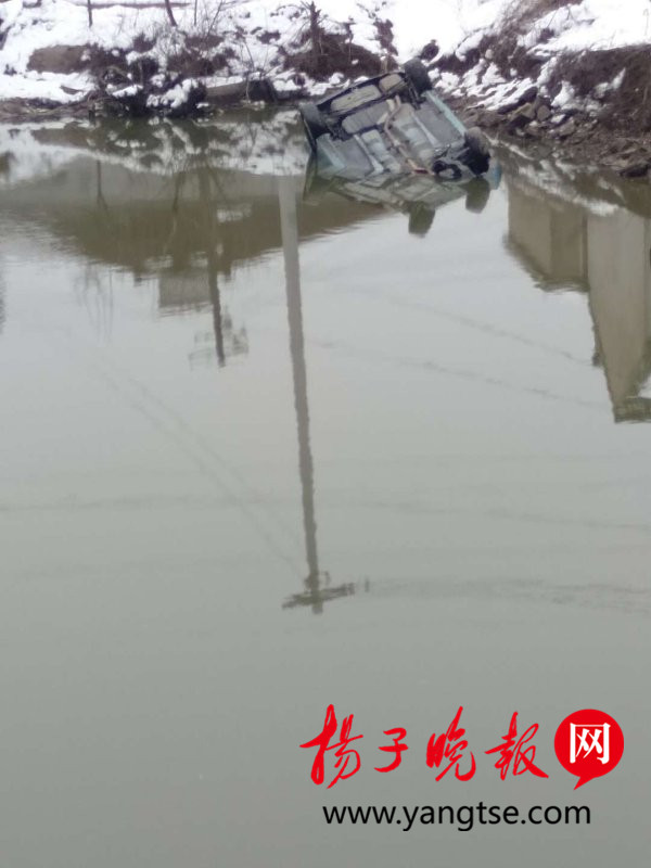 鍥剧墖