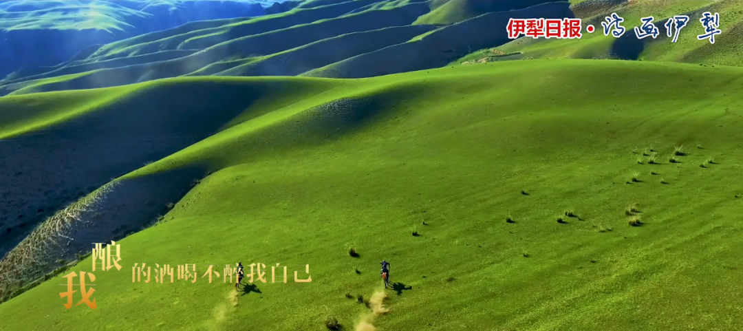 《可可托海的牧羊人》唱伊犁夏之热烈