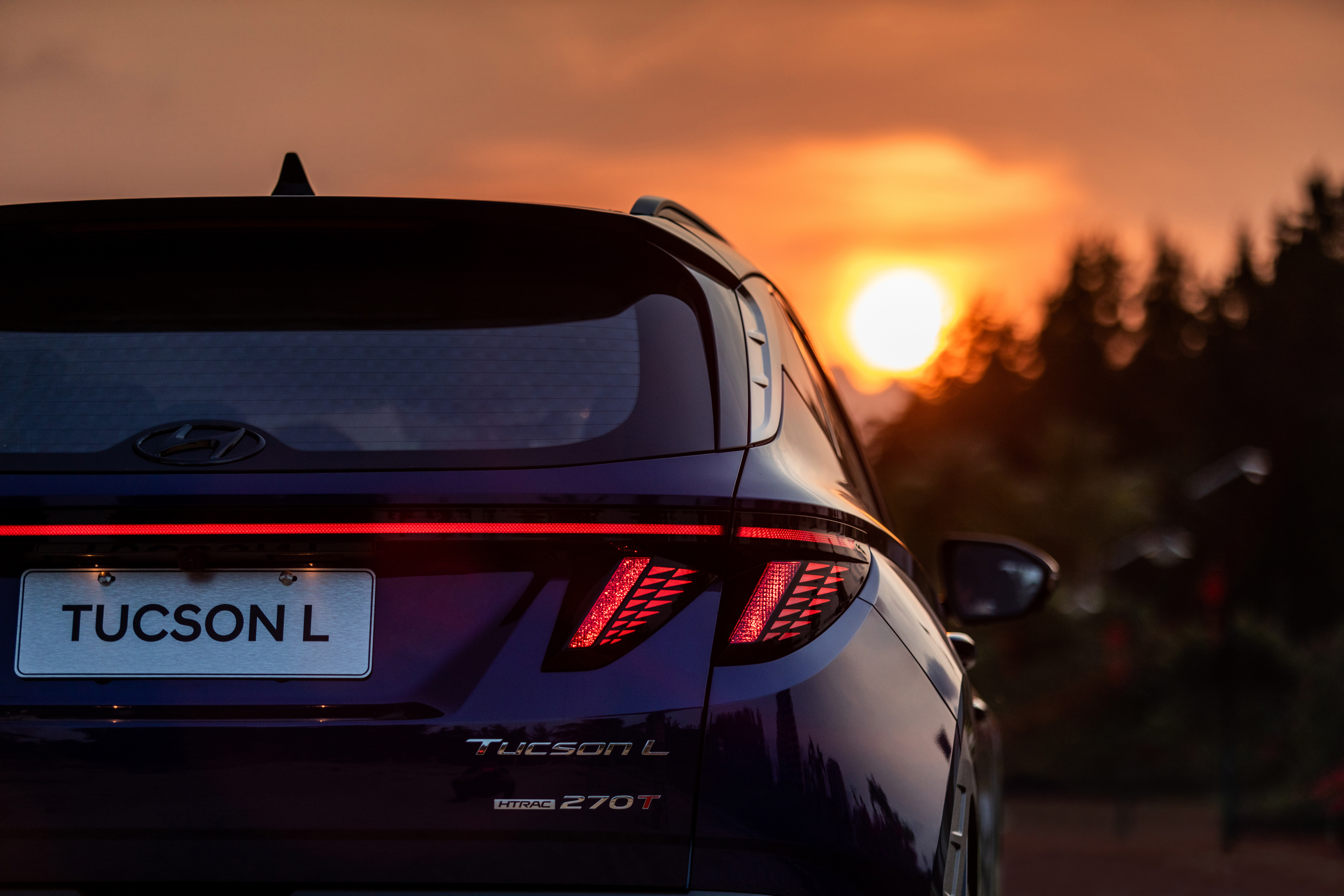 买了一堆芒果 甜了一路心情,在三亚试驾第五代途胜l