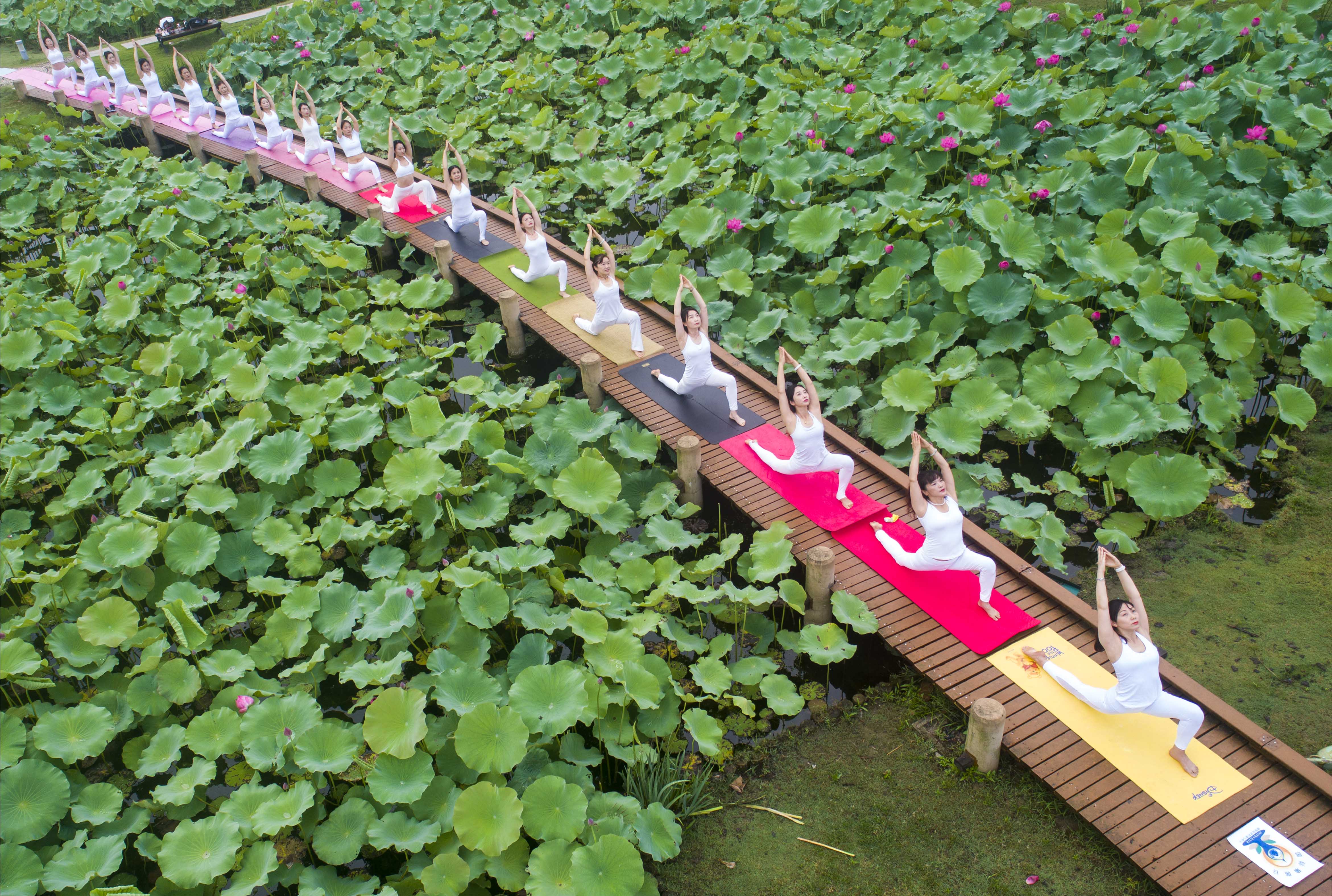 组图∣ 江苏泰州:舒展身姿练瑜伽