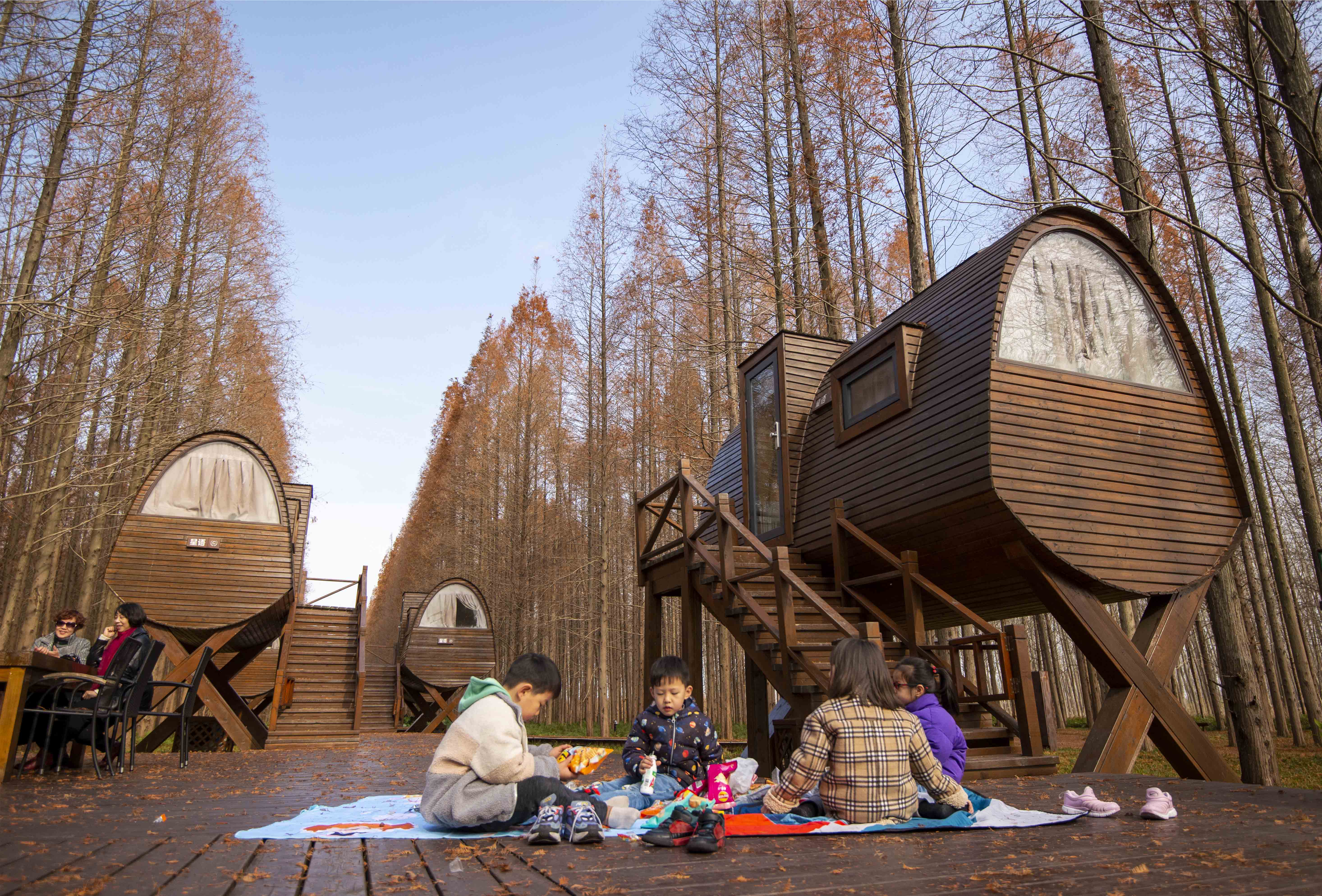 日拍摄的游人在黄海国家森林公园全电民宿小木屋休闲度假(无人机拍摄)