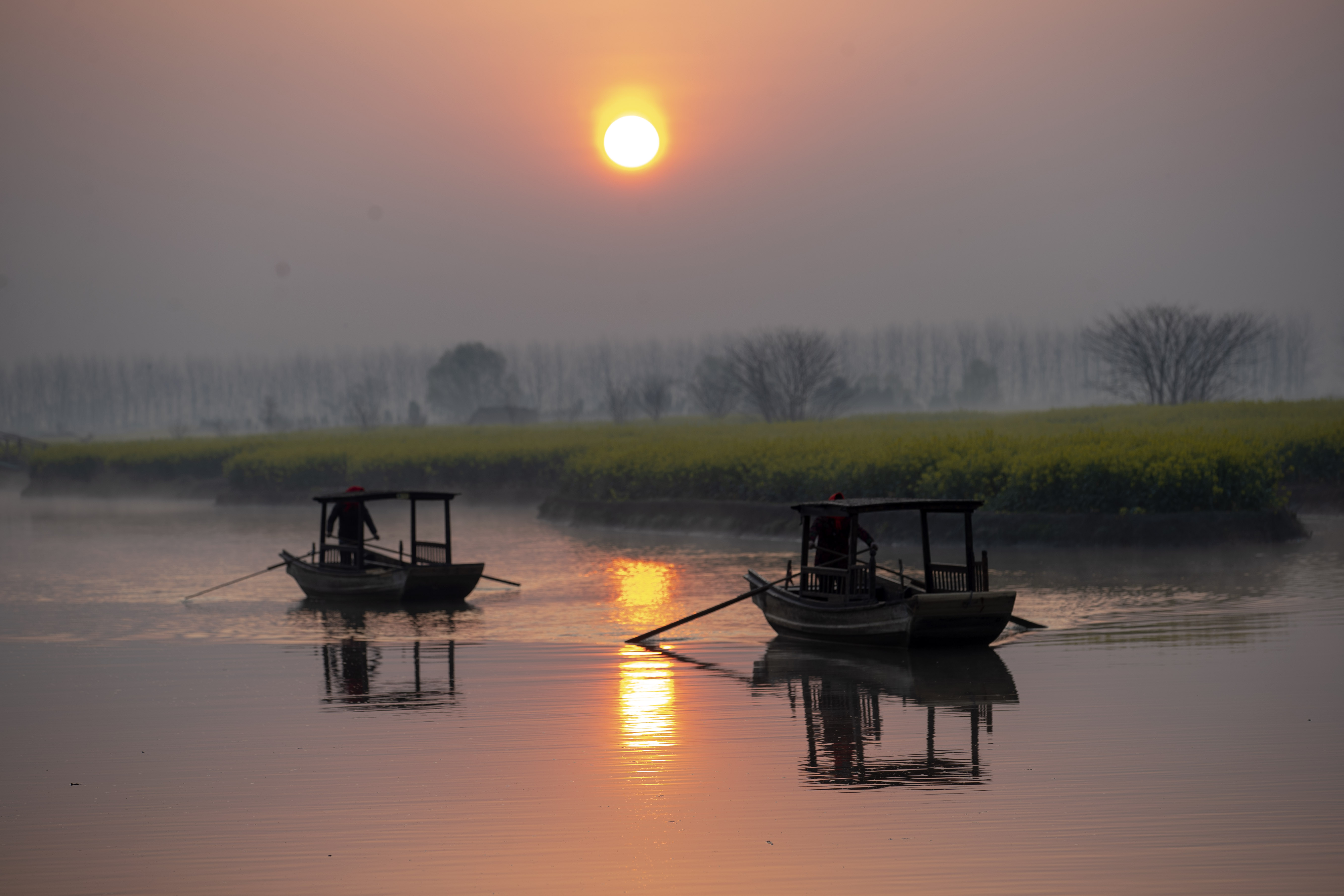 组图∣江苏泰州兴化市举办千垛菜花旅游活动