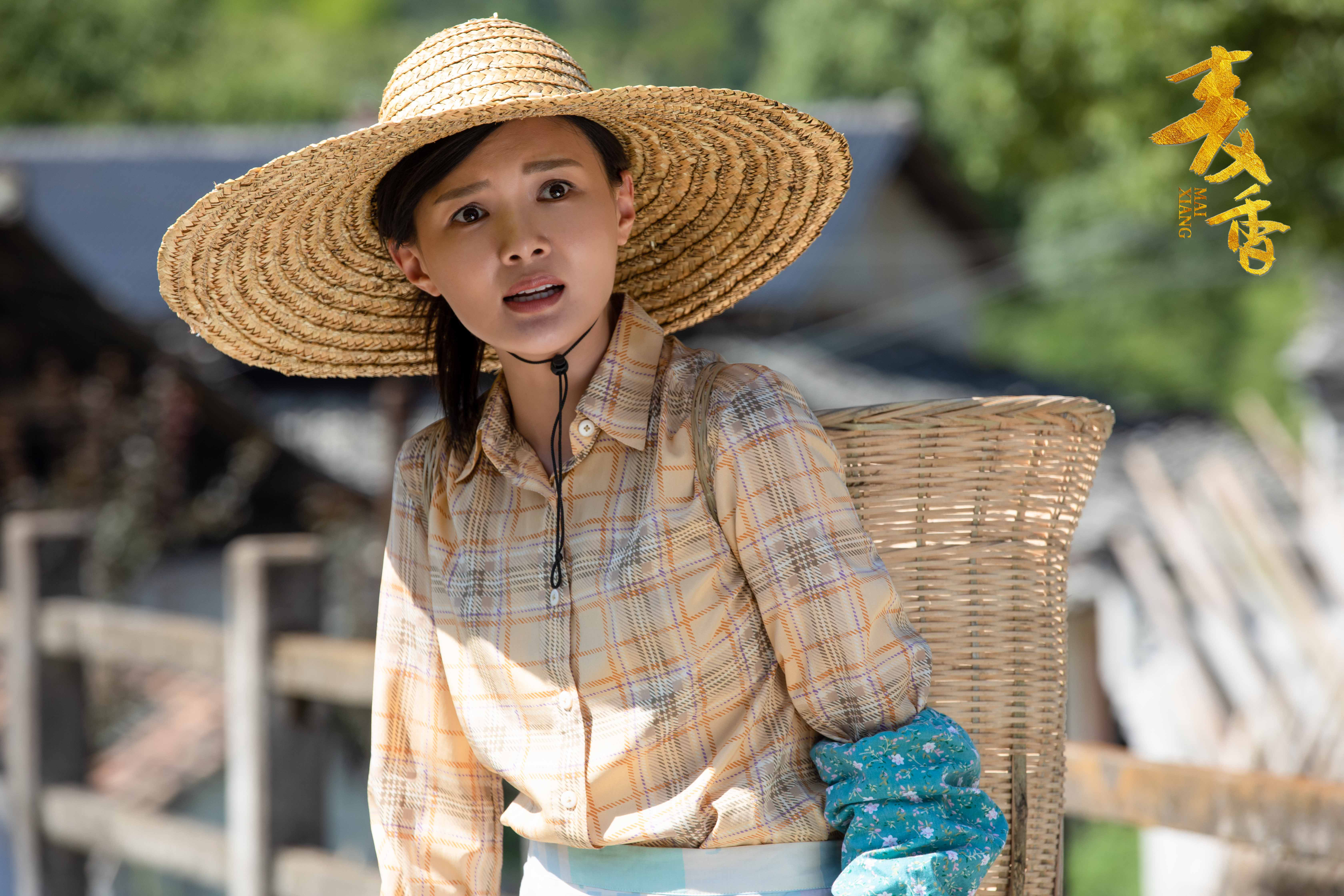 该剧以傅晶饰演的女主人公麦香对军人荣誉的执着捍卫与追求贯穿全篇