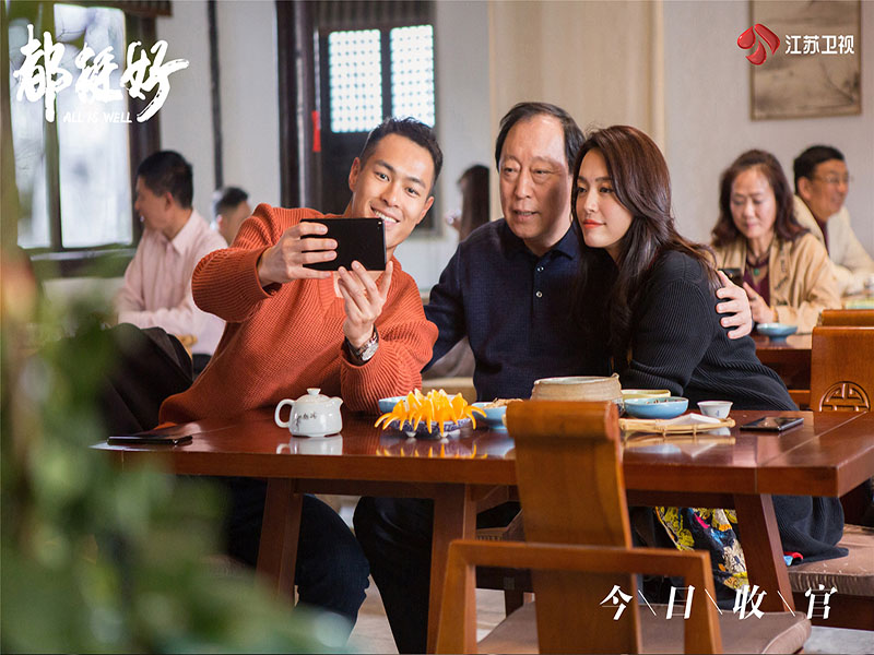 年中盘点《都挺好》毫无悬念拿下上半年"剧王"