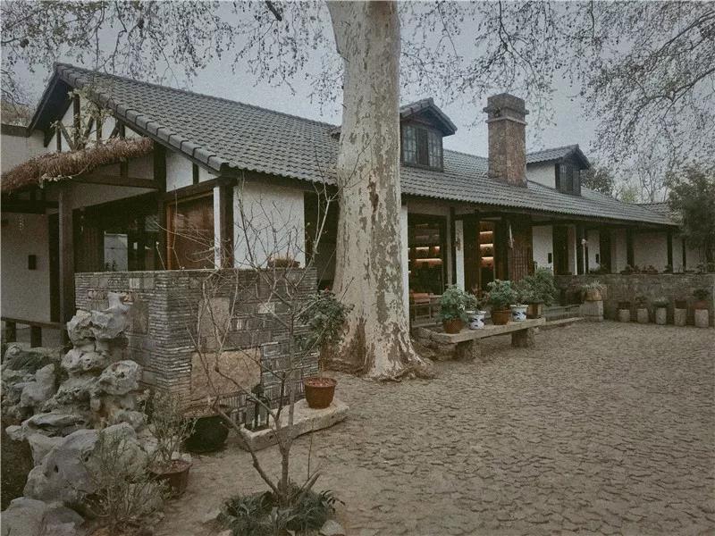 荡去俗尘何须酒,梧桐小院一壶茶