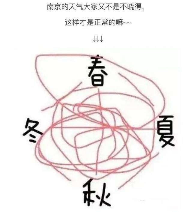 周一南京最高气温24℃,但"春如四季",你懂哎!