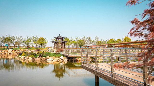 野鸭在塘中嬉戏玩耍,偶有江豚跳出江面……漫步在南京江宁滨江开发区